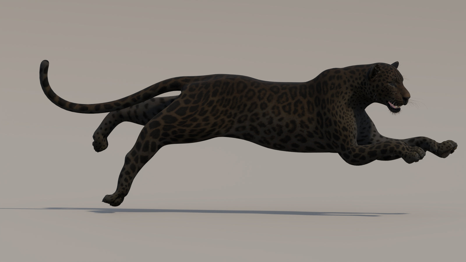 Animated Black Panther 3D Model 360° view 4 frame 13