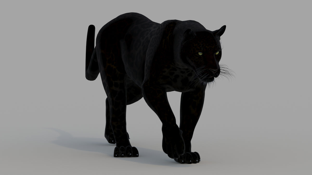 Animated Black Panther Animal 3D Model - 360 Degree View