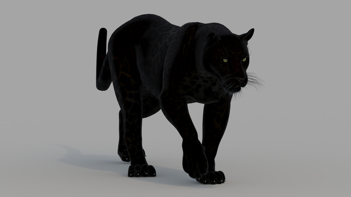 Animated Black Panther Animal 3D Model - 360 Degree View