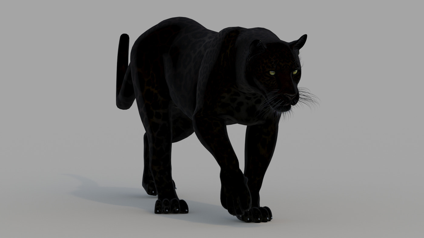 Animated Black Panther Animal 3D Model - 360 Degree View