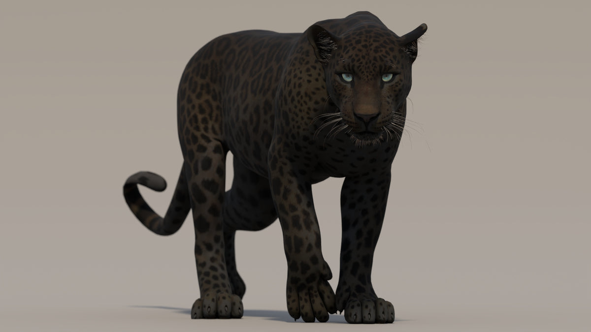 Animated Black Panther 3D Model - 360 Degree View