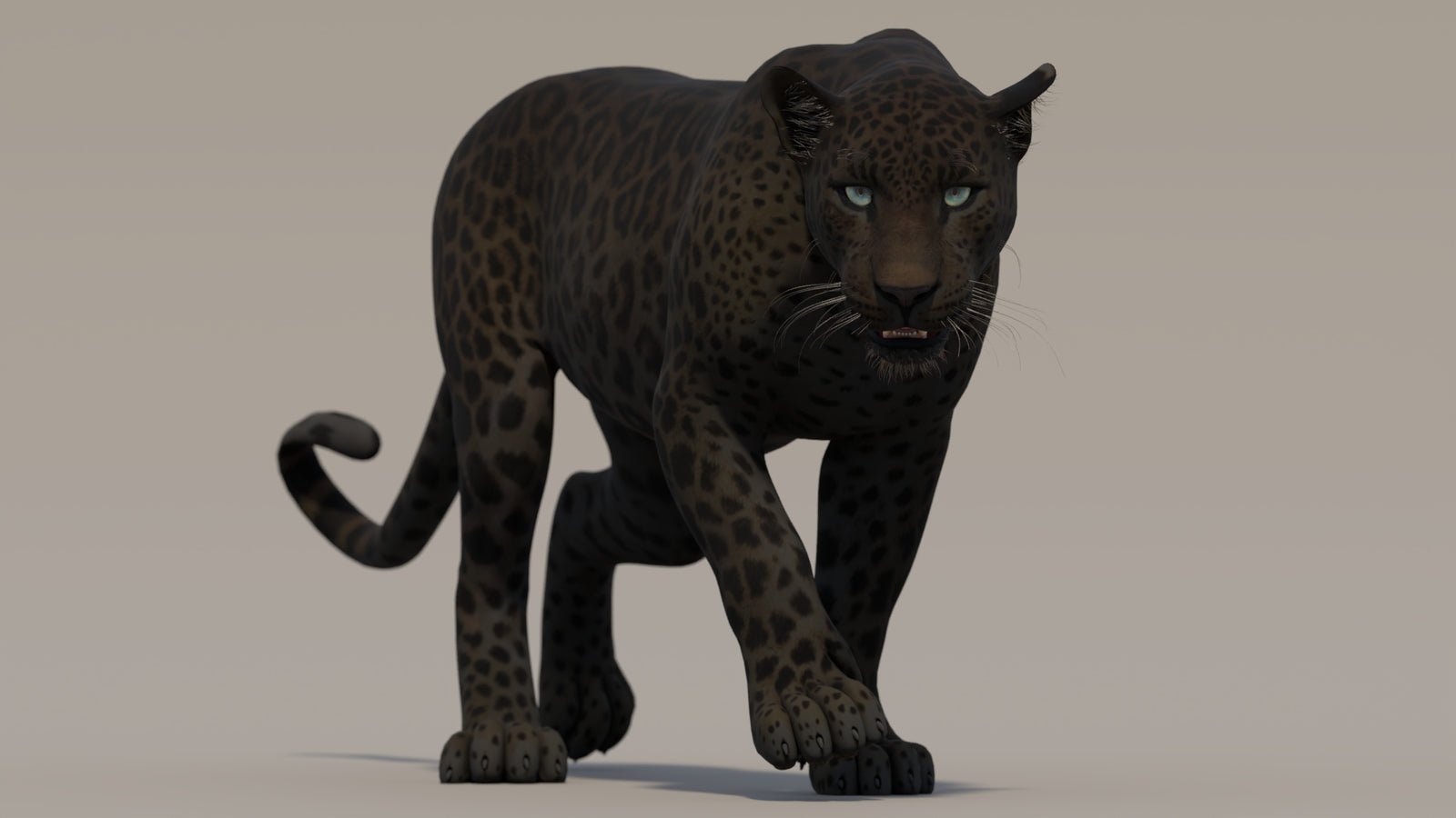 Animated Black Panther 3D Model 360° view 2 frame 4
