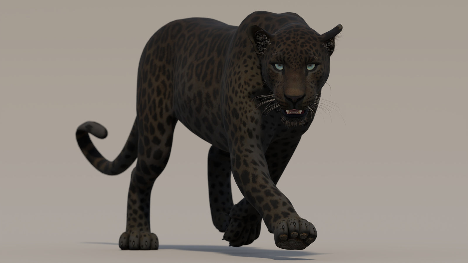 Animated Black Panther 3D Model 360° view 2 frame 10