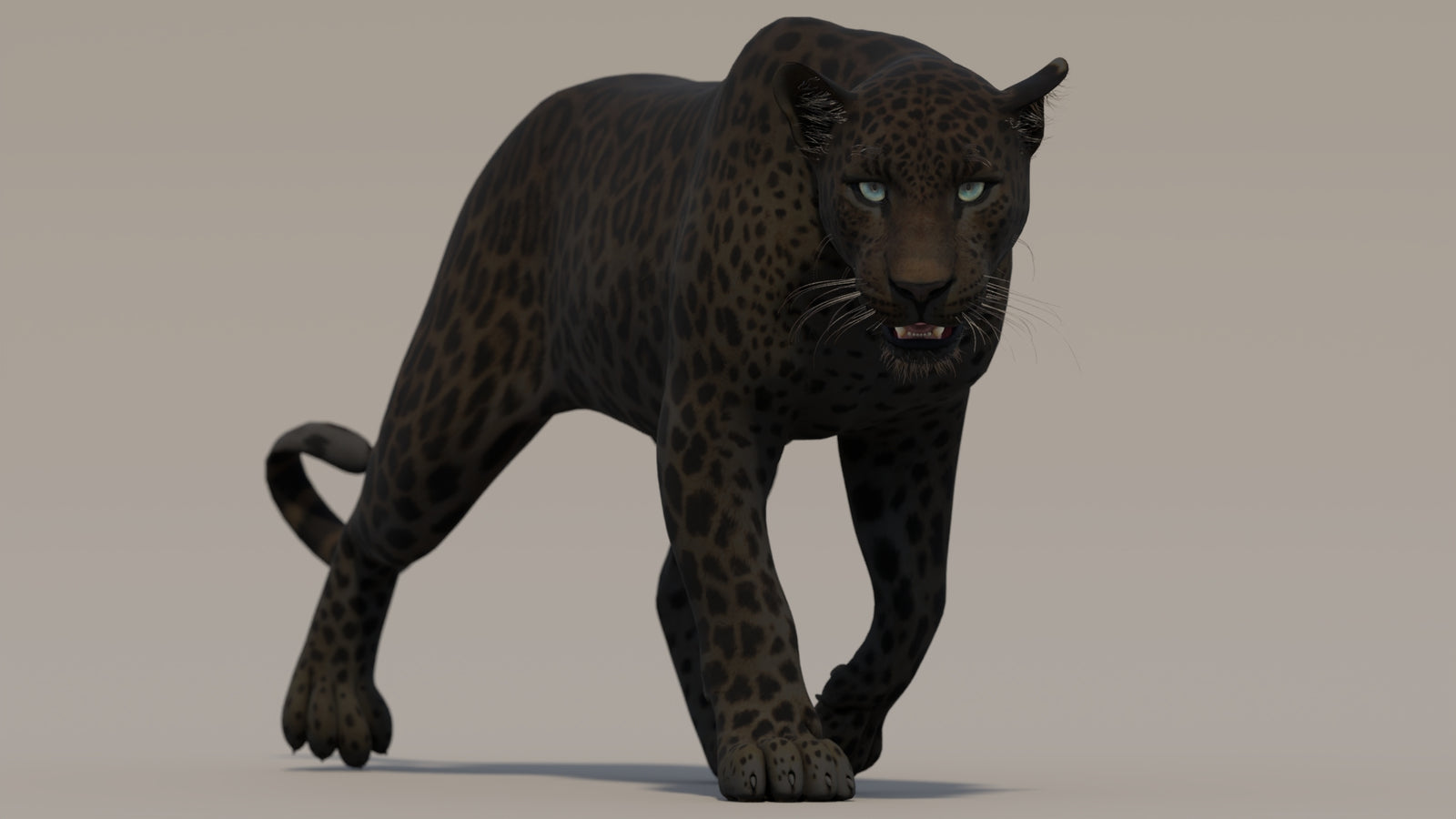 Animated Black Panther 3D Model 360° view 2 frame 19