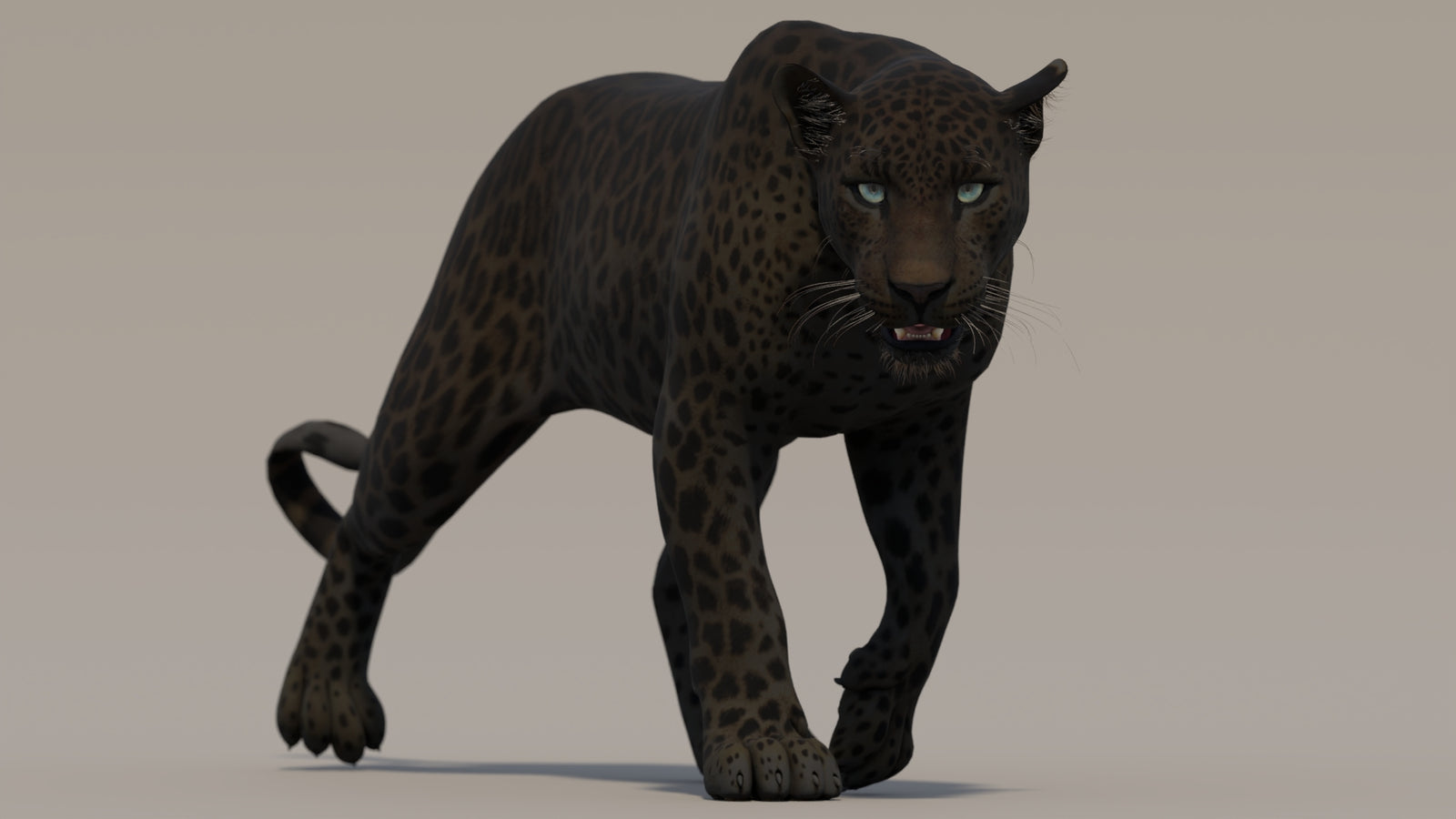 Animated Black Panther 3D Model 360° view 2 frame 20