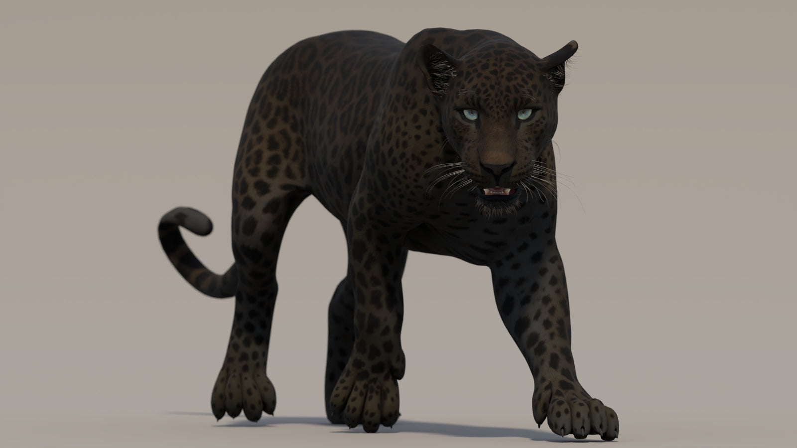 Animated Black Panther 3D Model 360° view 2 frame 28