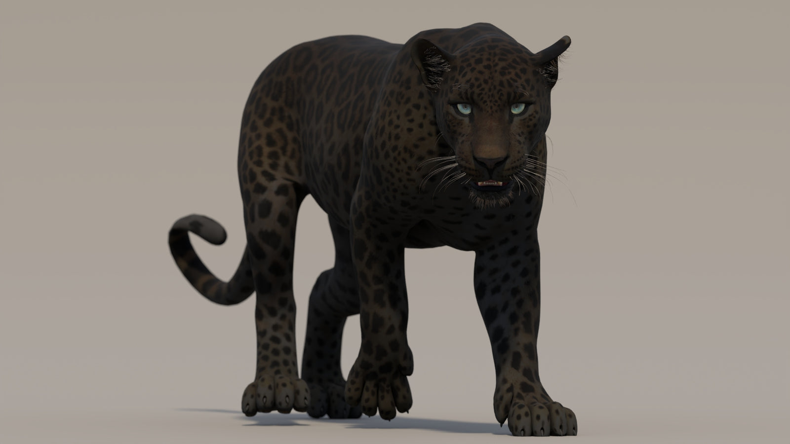 Animated Black Panther 3D Model 360° view 2 frame 32
