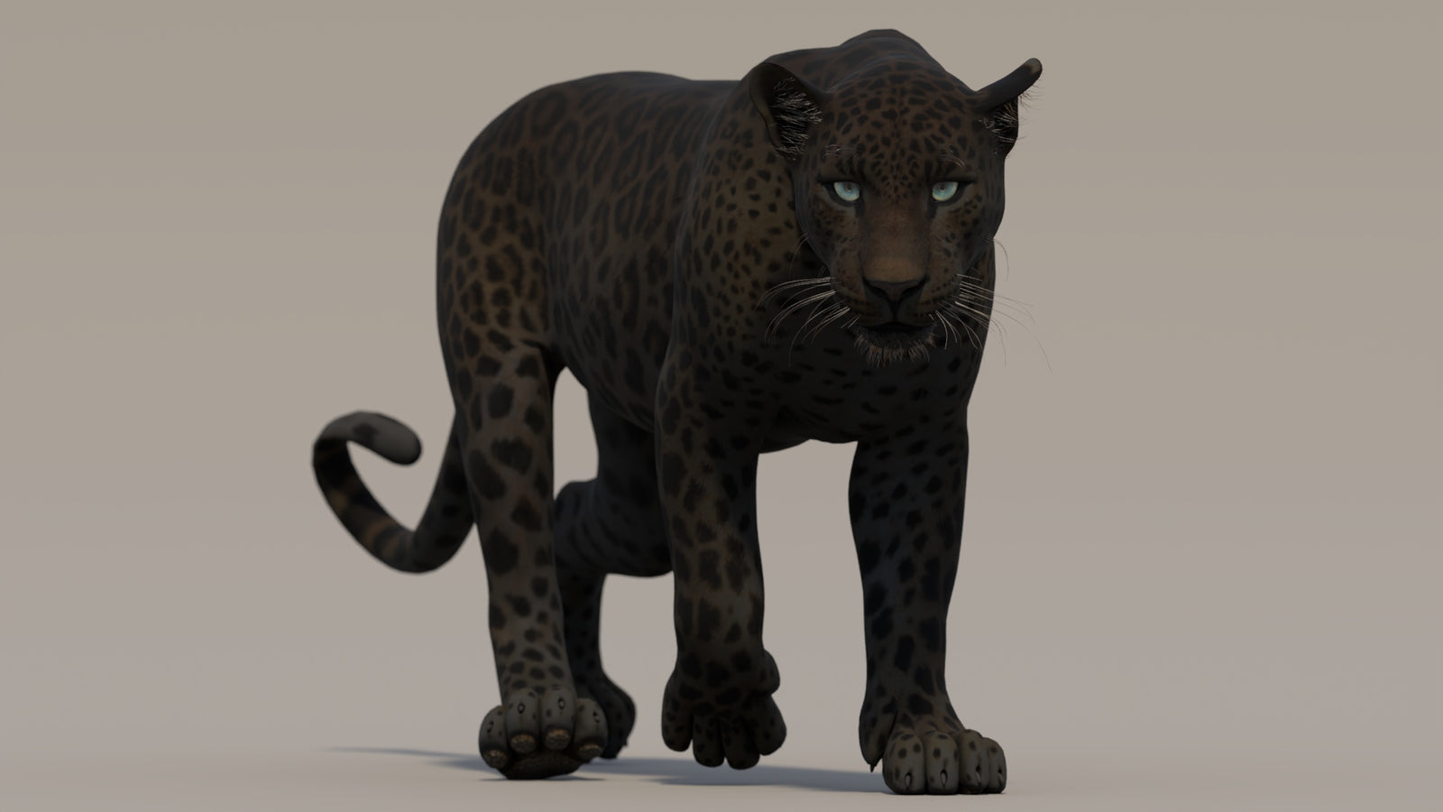 Animated Black Panther 3D Model 360° view 2 frame 34