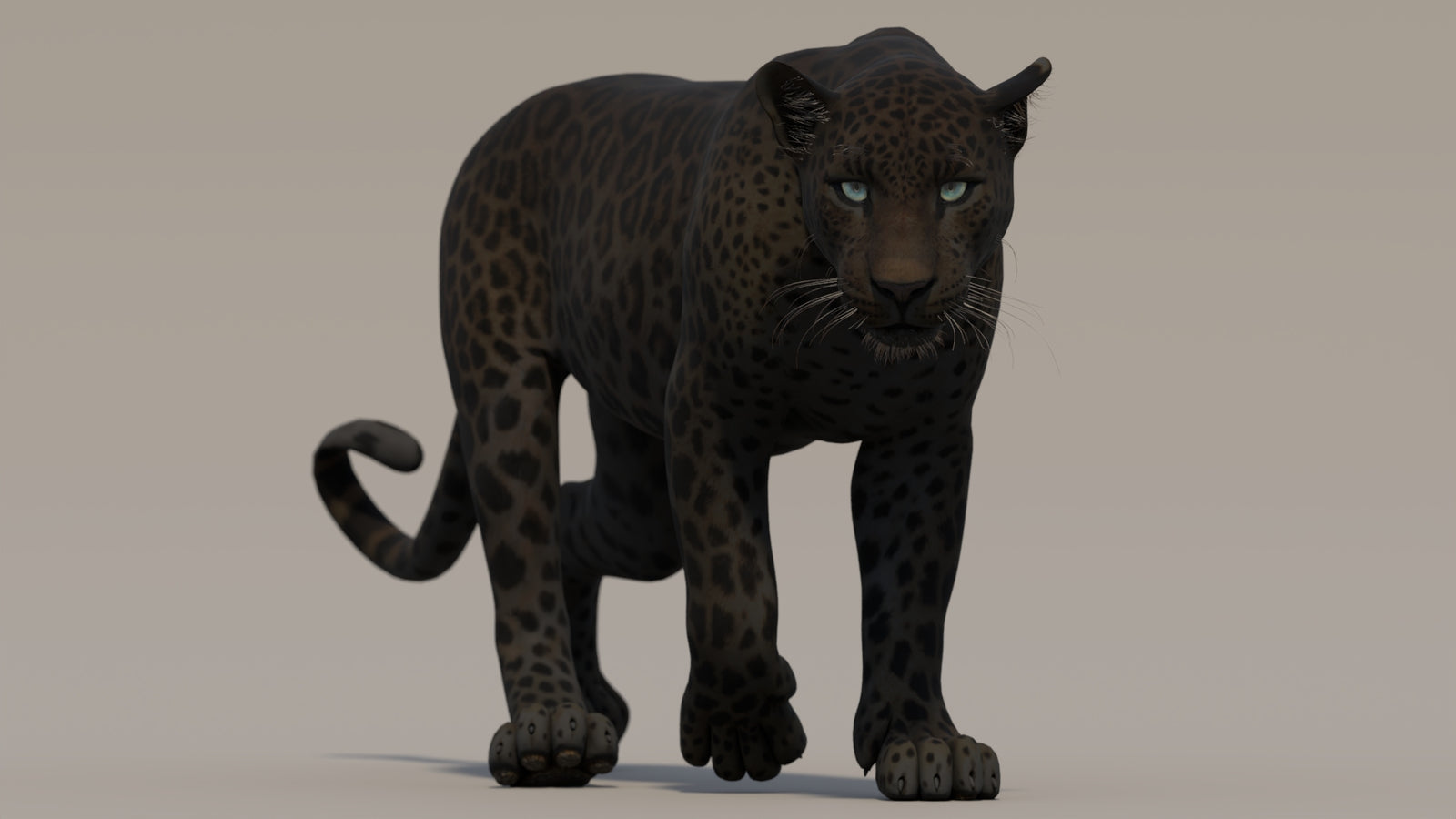 Animated Black Panther 3D Model 360° view 2 frame 35