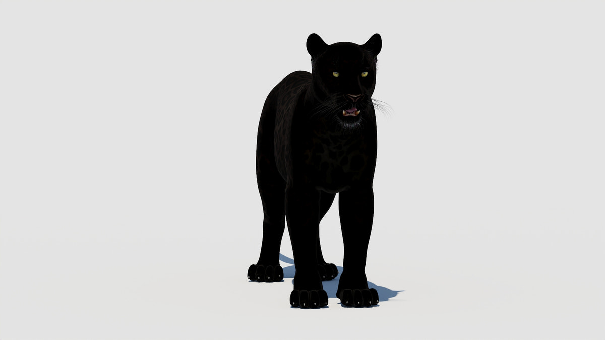 Panther 3D Model - 360 Degree View