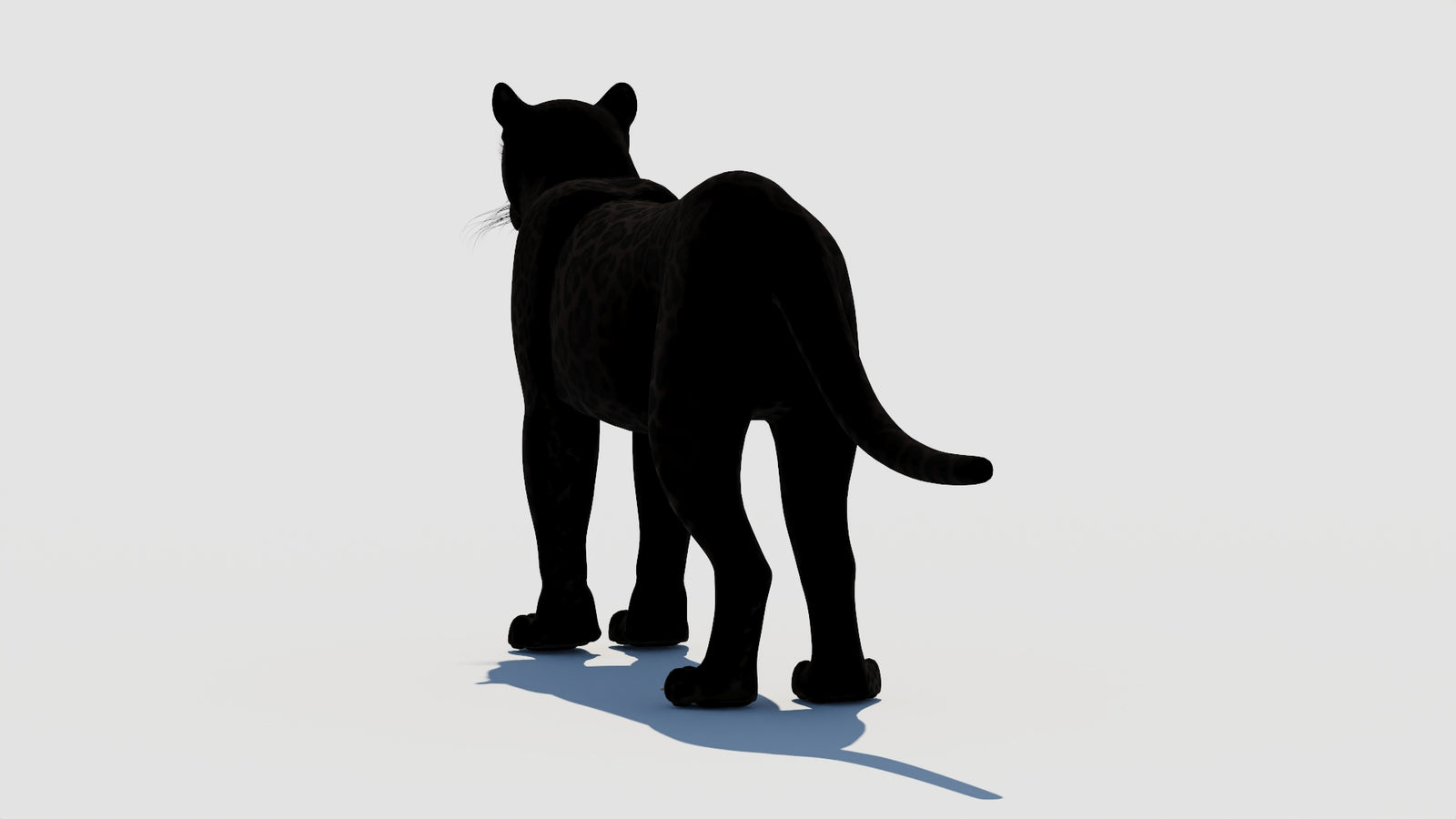 Panther 3D Model 360° view 1 frame 20