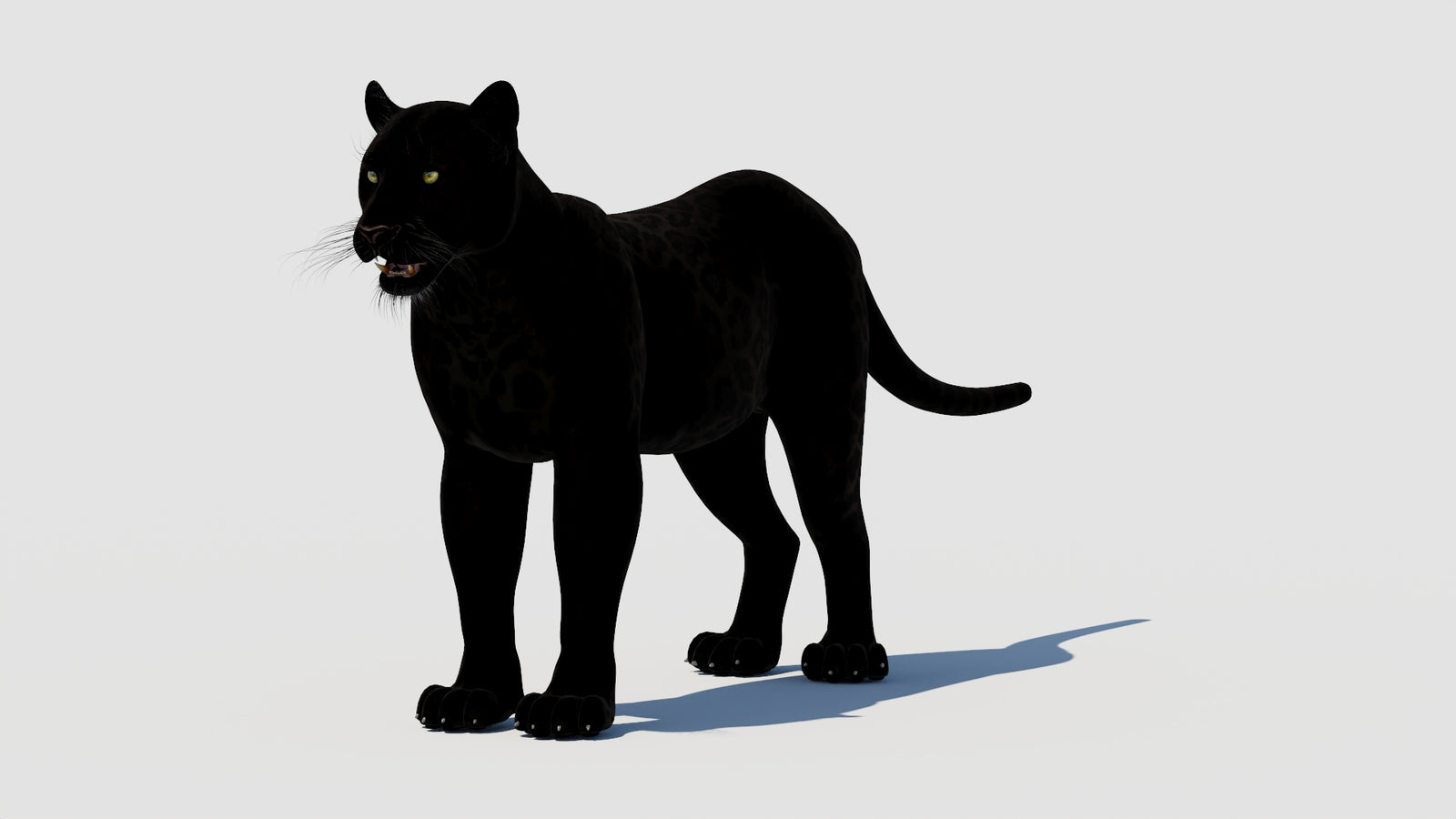 Panther 3D Model 360° view 1 frame 33