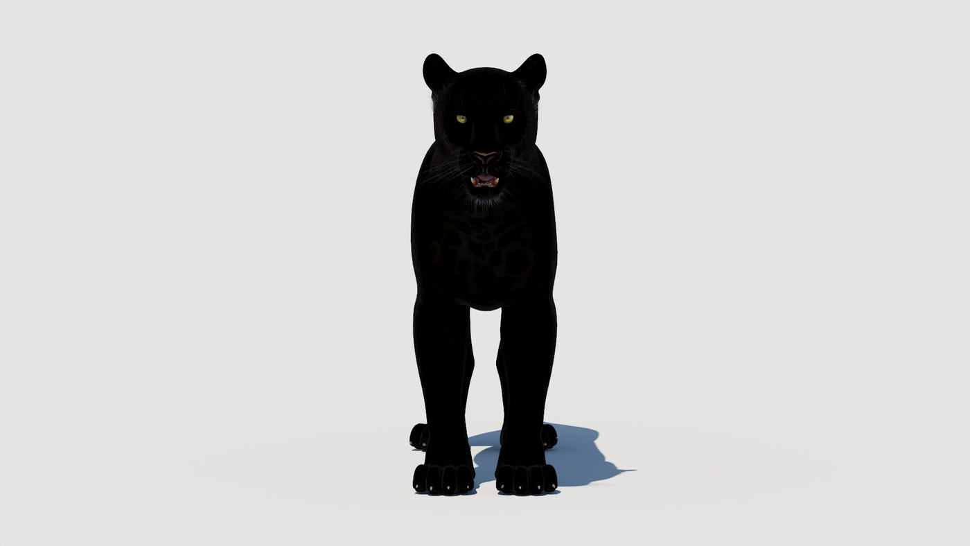 Big Cats 03 3D Model - 360 Degree View