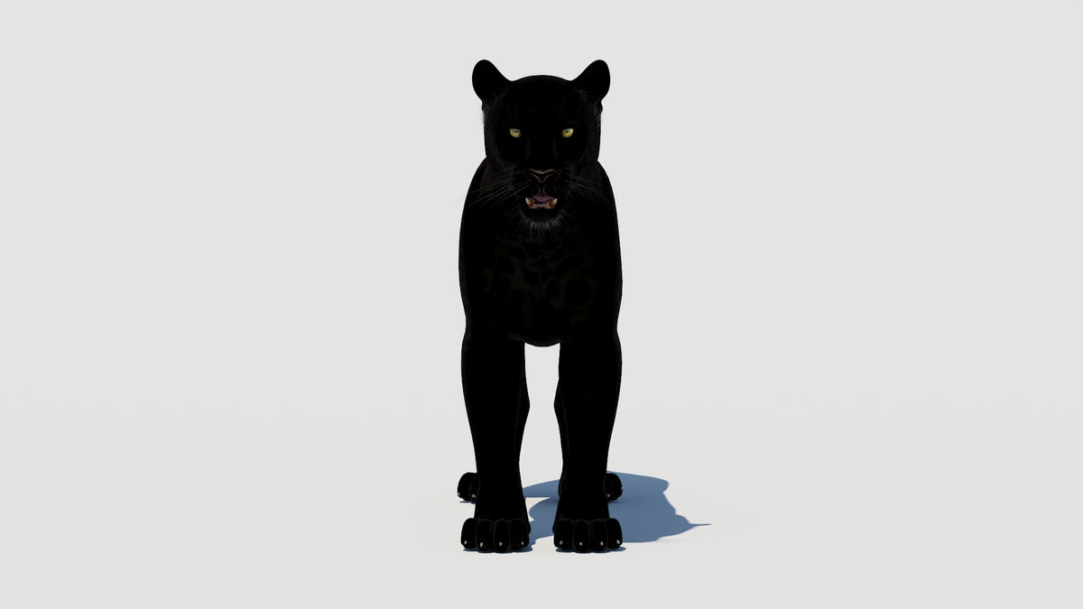 Big Cats 03 3D Model - 360 Degree View