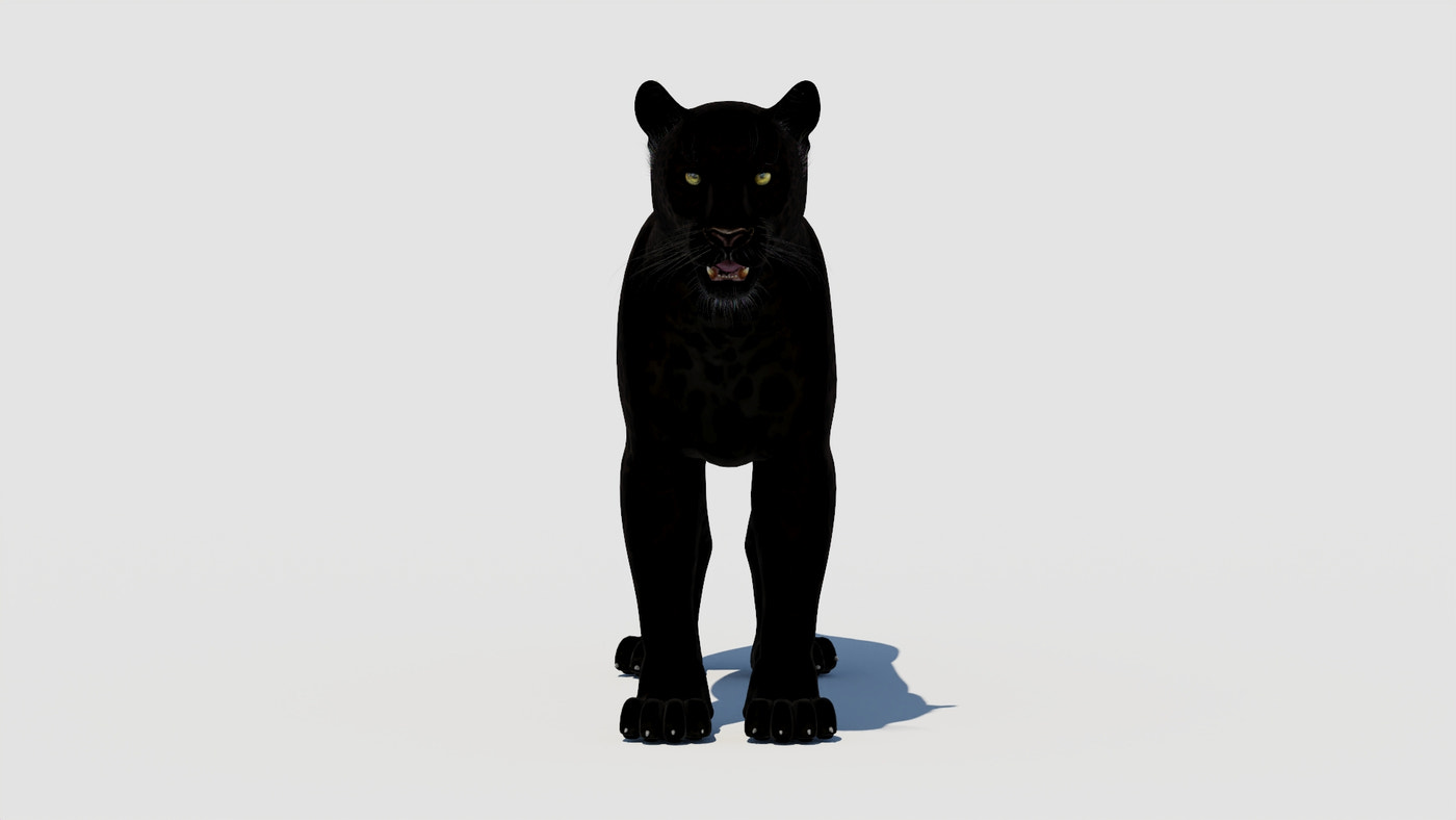 Big Cats 03 3D Model - 360 Degree View