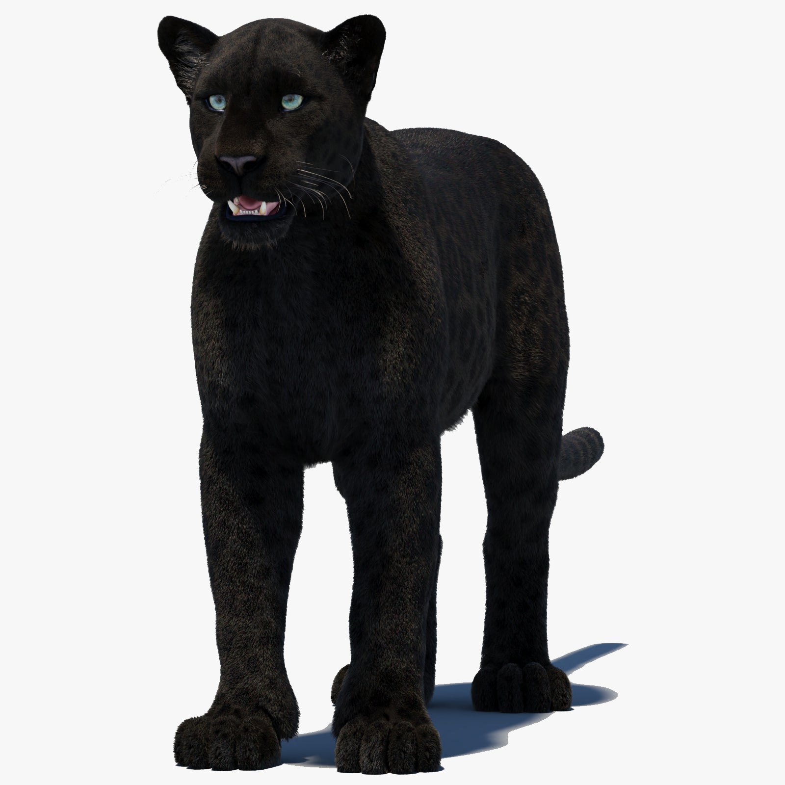 Black Panther 3D Model with Realistic Fur