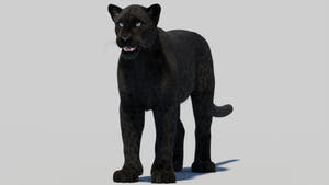 Black Panther 3D Model with Realistic Fur Thumbnail