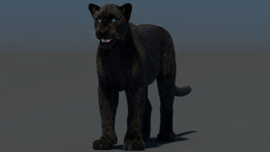 Black Panther 3D Model with Realistic Fur Thumbnail
