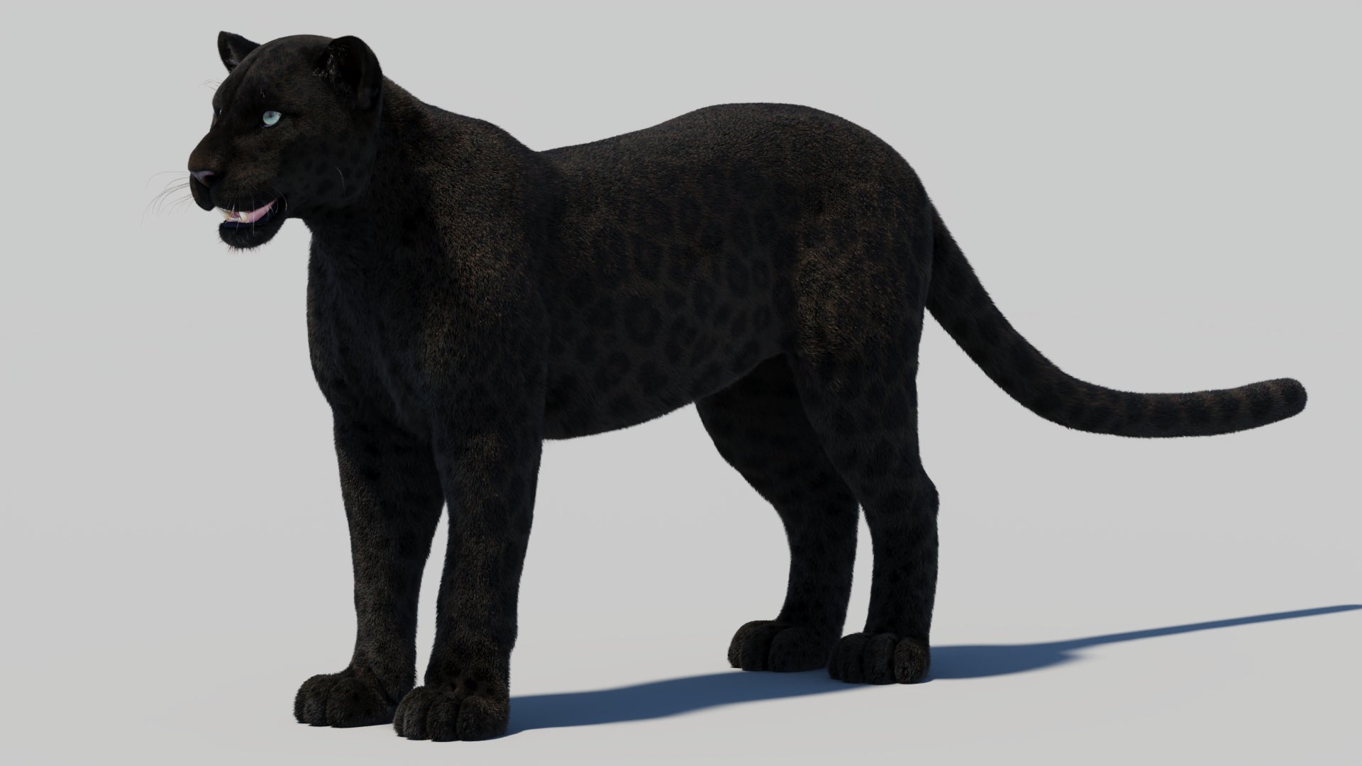 Black Panther 3D Model with Realistic Fur