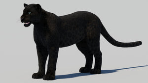 Black Panther 3D Model with Realistic Fur Thumbnail