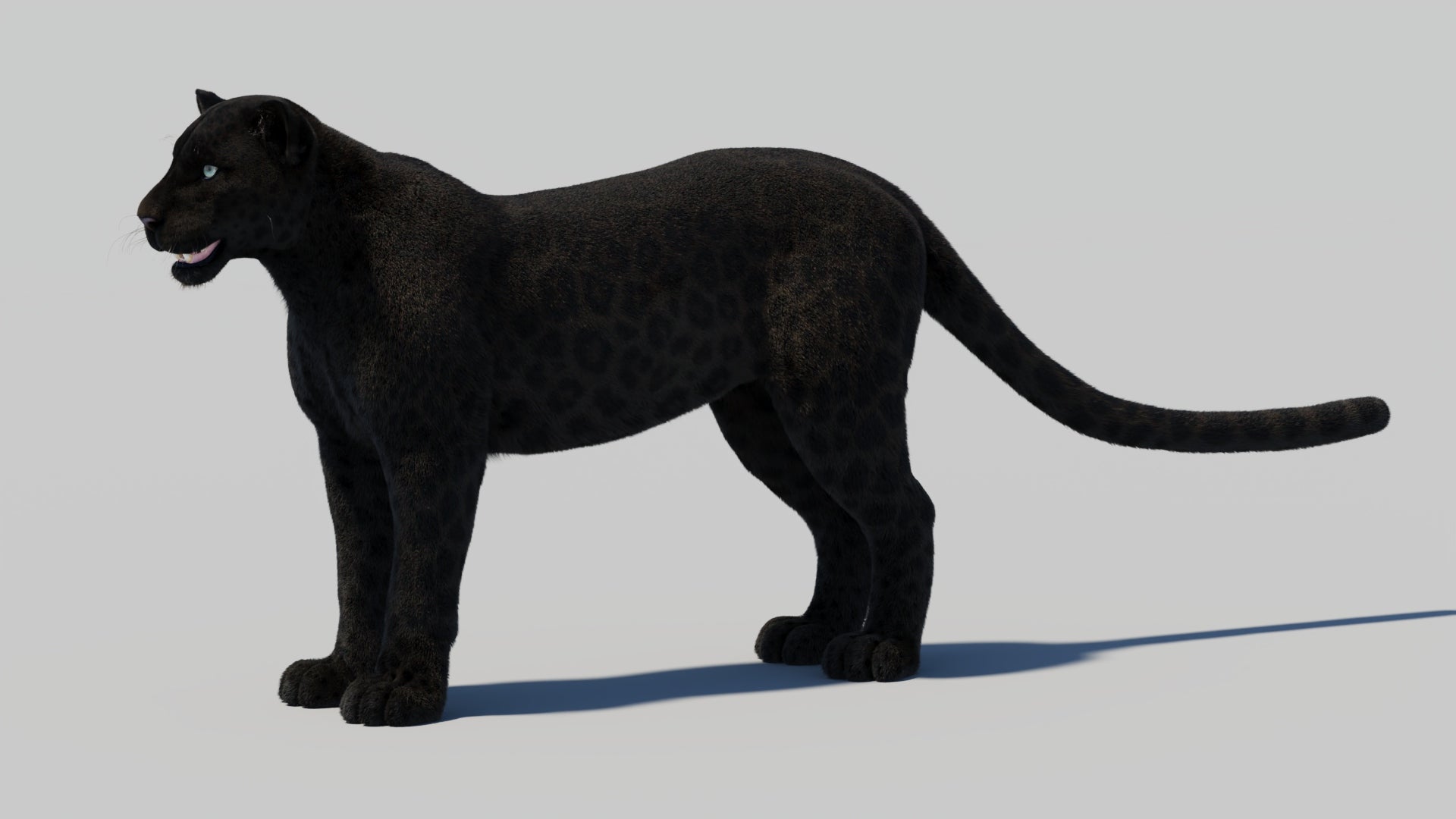 Black Panther 3D Model with Realistic Fur