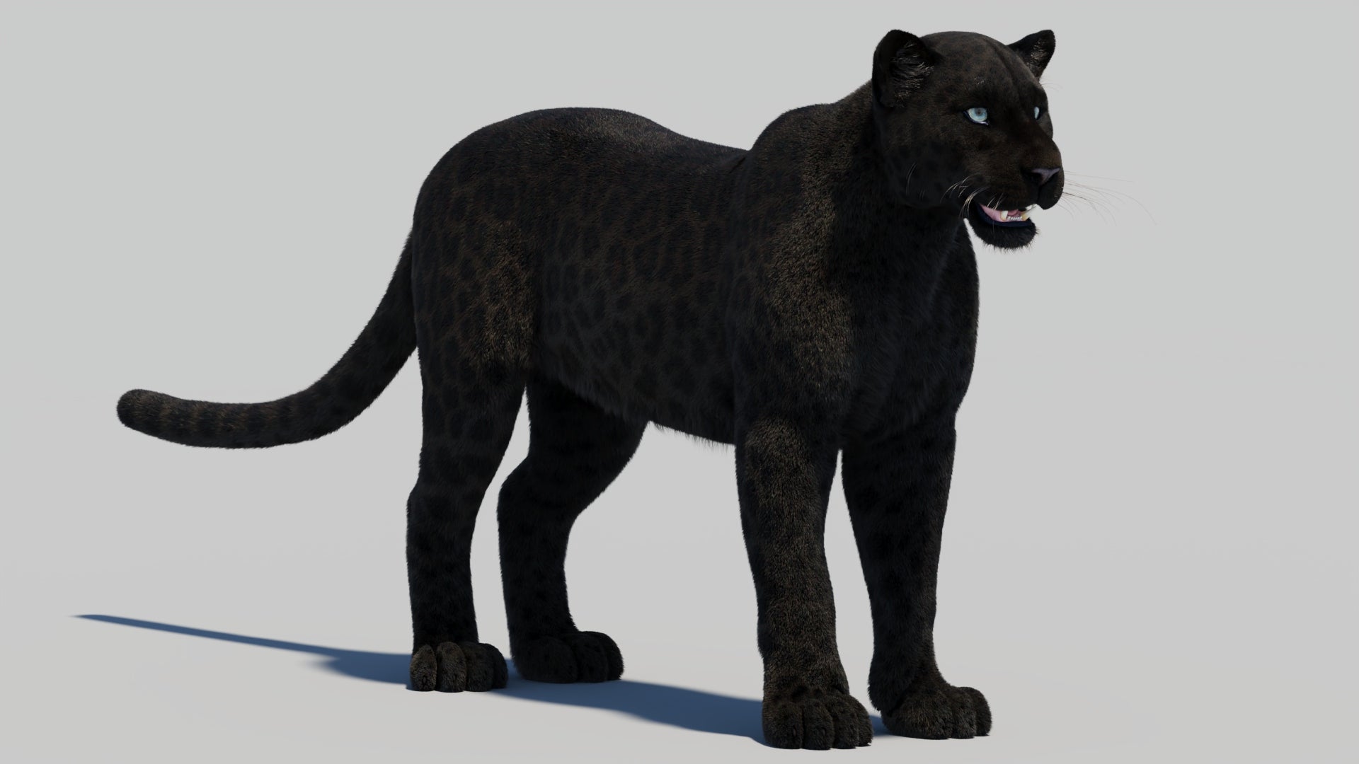 Black Panther 3D Model with Realistic Fur