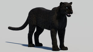 Black Panther 3D Model with Realistic Fur Thumbnail