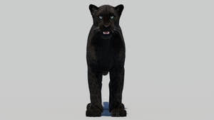 Black Panther 3D Model with Realistic Fur Thumbnail