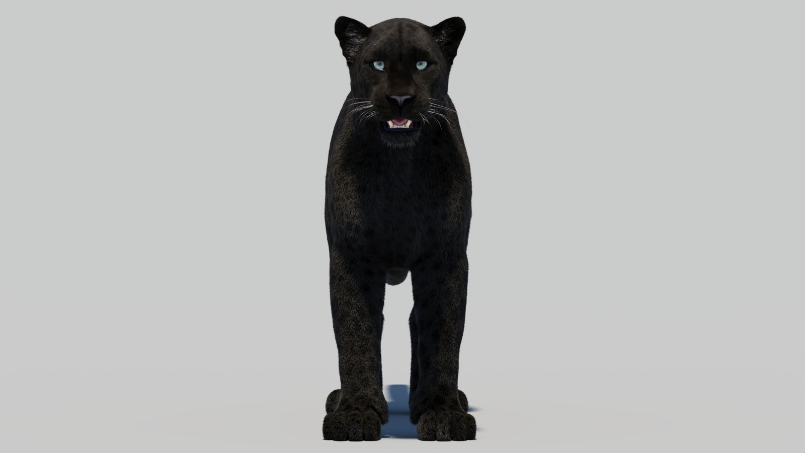 Black Panther 3D Model with Realistic Fur