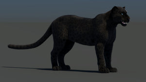 Black Panther 3D Model with Realistic Fur Thumbnail