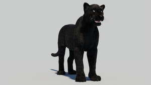 Black Panther Animal 3D Model with Realistic Groomed Hair and Fur Thumbnail