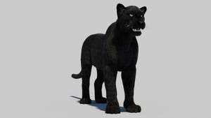 Black Panther Animal 3D Model with Realistic Groomed Hair and Fur Thumbnail