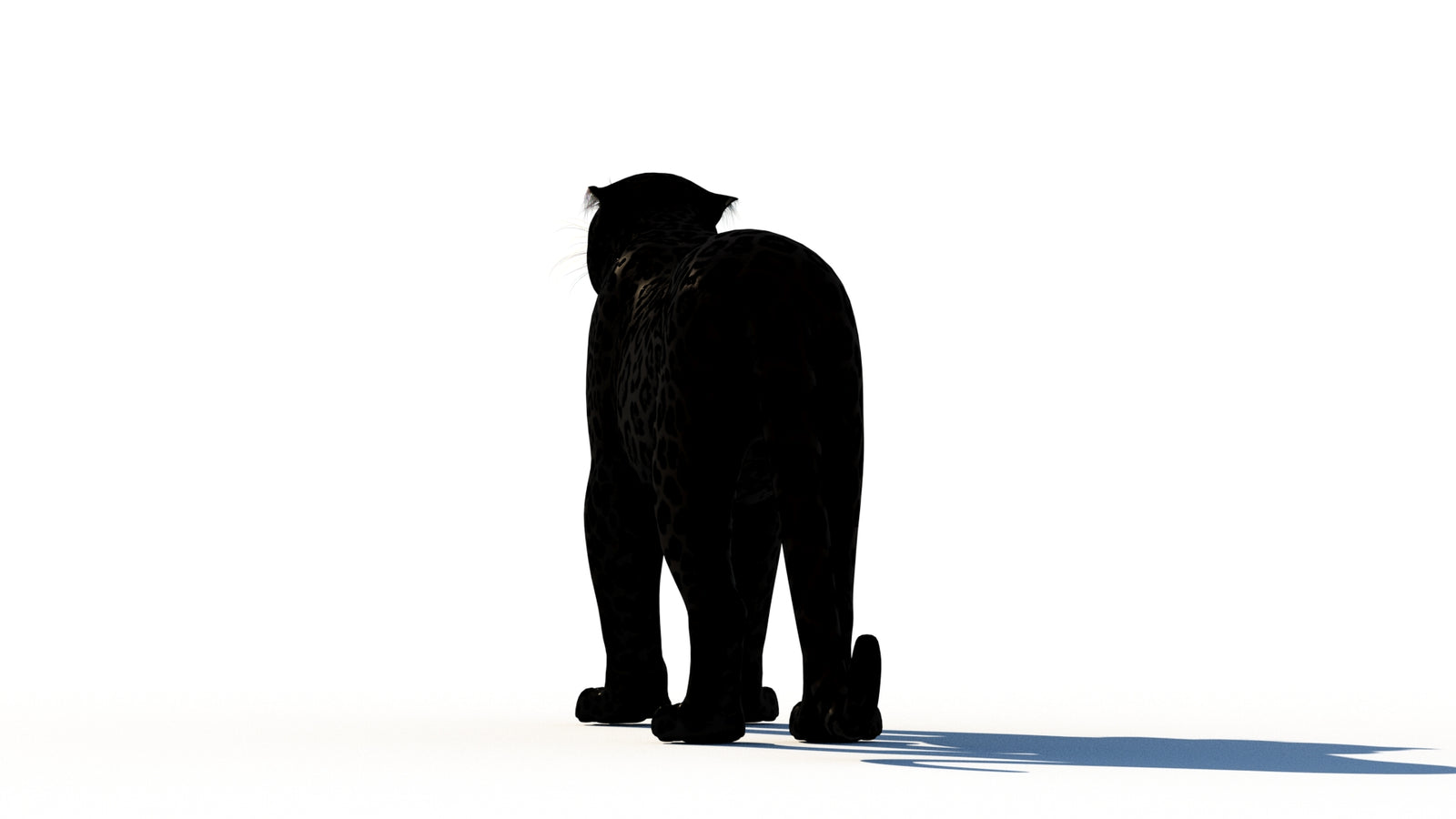 Rigged Black Panther 3D Model 360° view 1 frame 19