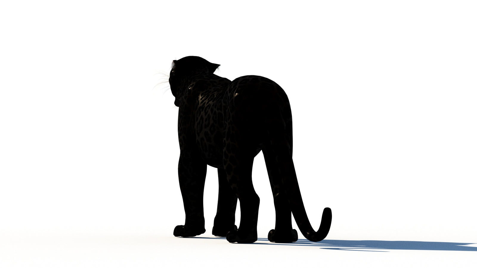Rigged Black Panther 3D Model 360° view 1 frame 20