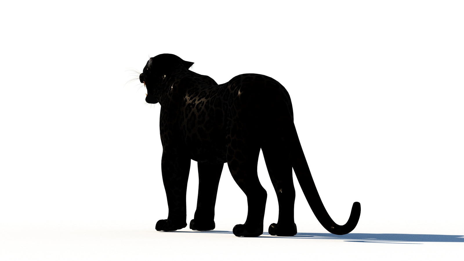 Rigged Black Panther 3D Model 360° view 1 frame 21