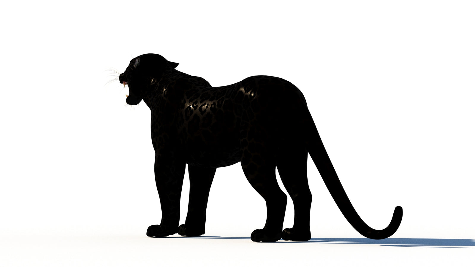 Rigged Black Panther 3D Model 360° view 1 frame 22