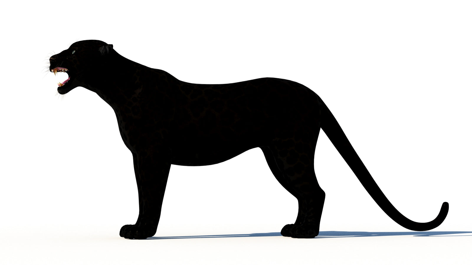 Rigged Black Panther 3D Model 360° view 1 frame 28