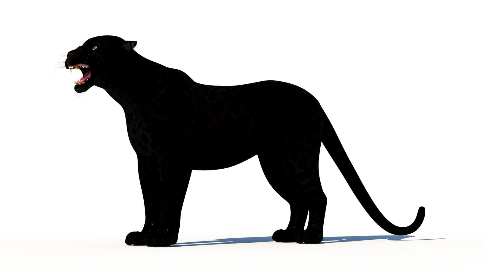 Rigged Black Panther 3D Model 360° view 1 frame 30