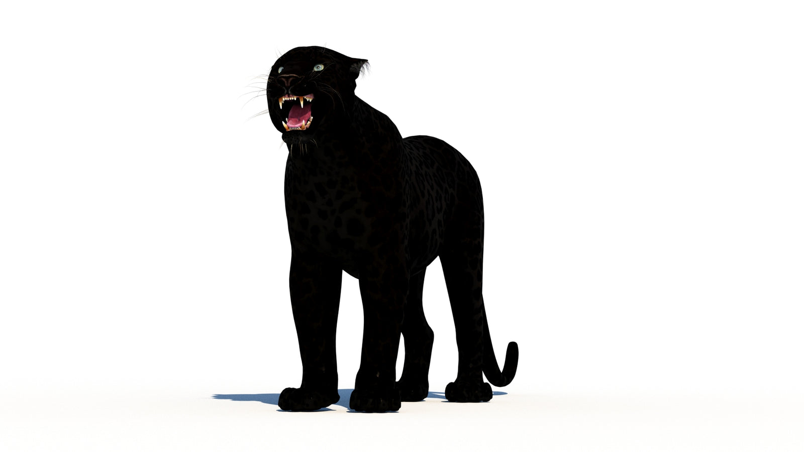 Rigged Black Panther 3D Model 360° view 1 frame 34