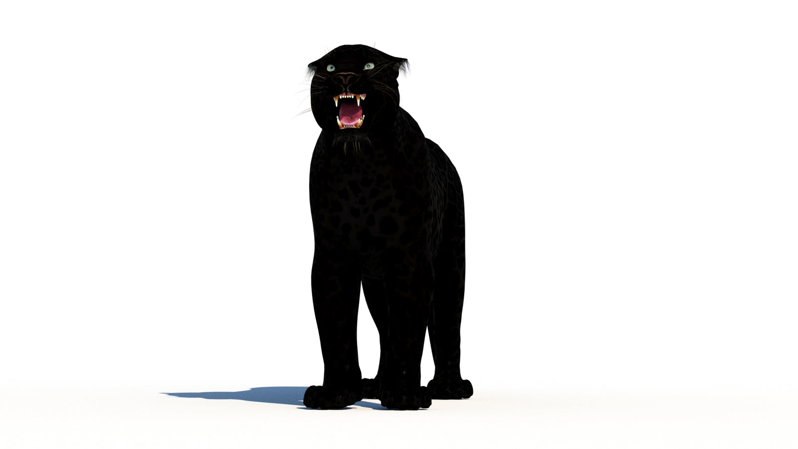 Rigged Black Panther 3D Model 360° view 1 frame 35