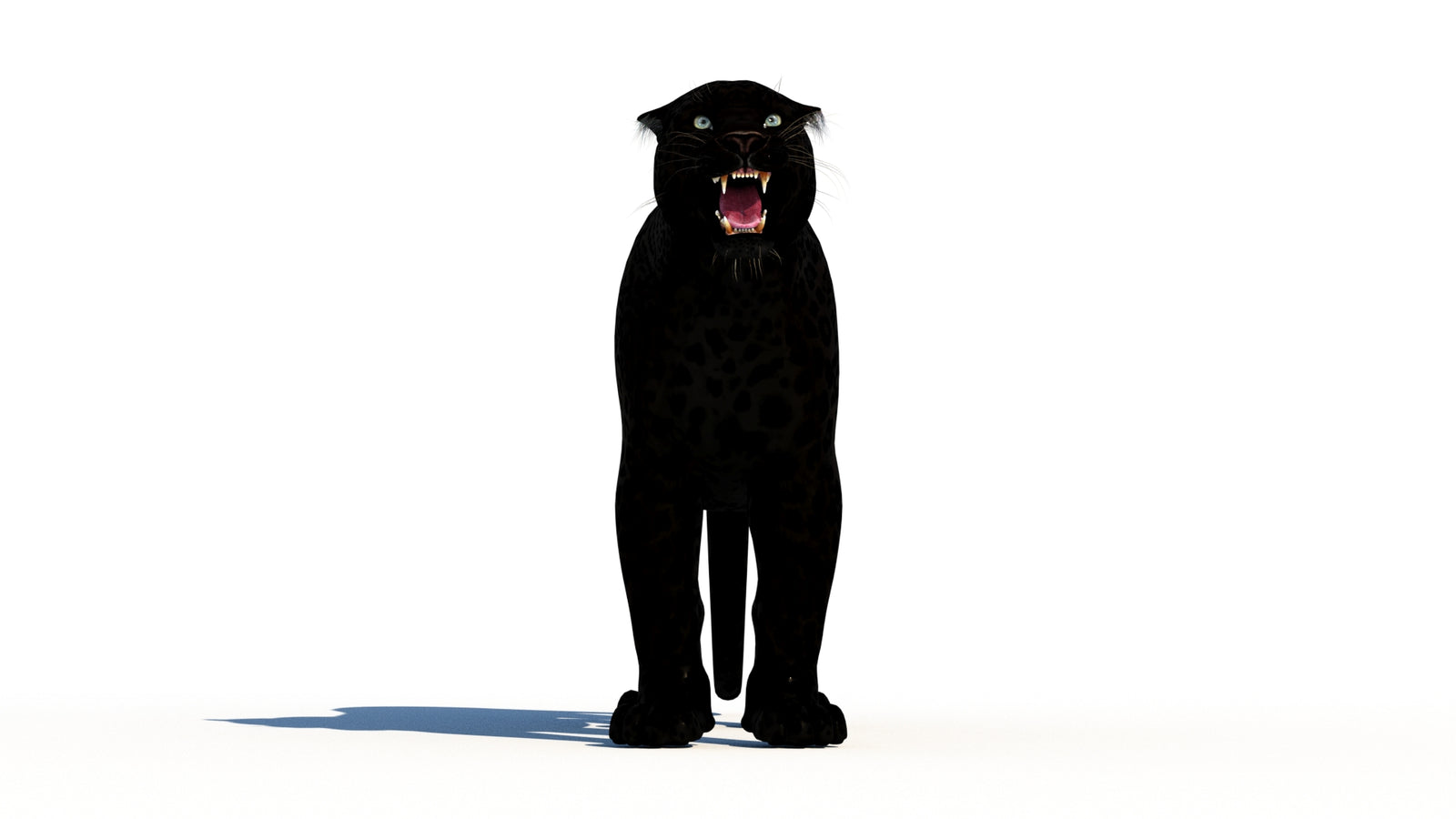 Rigged Black Panther 3D Model 360° view 1 frame 36