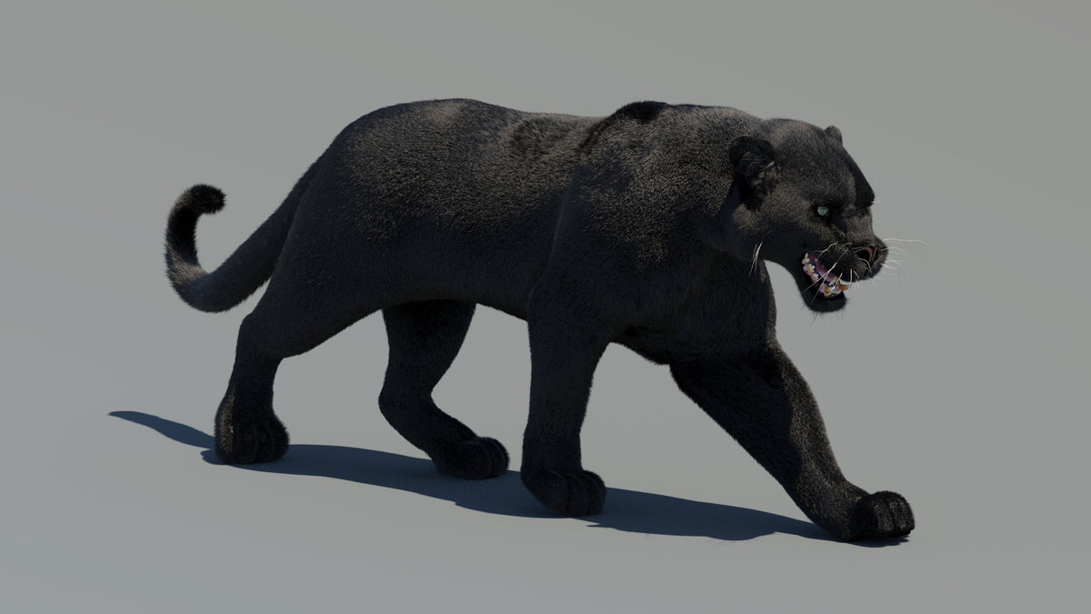 Animated Black Panther 3D Model Fur - 360 Degree View