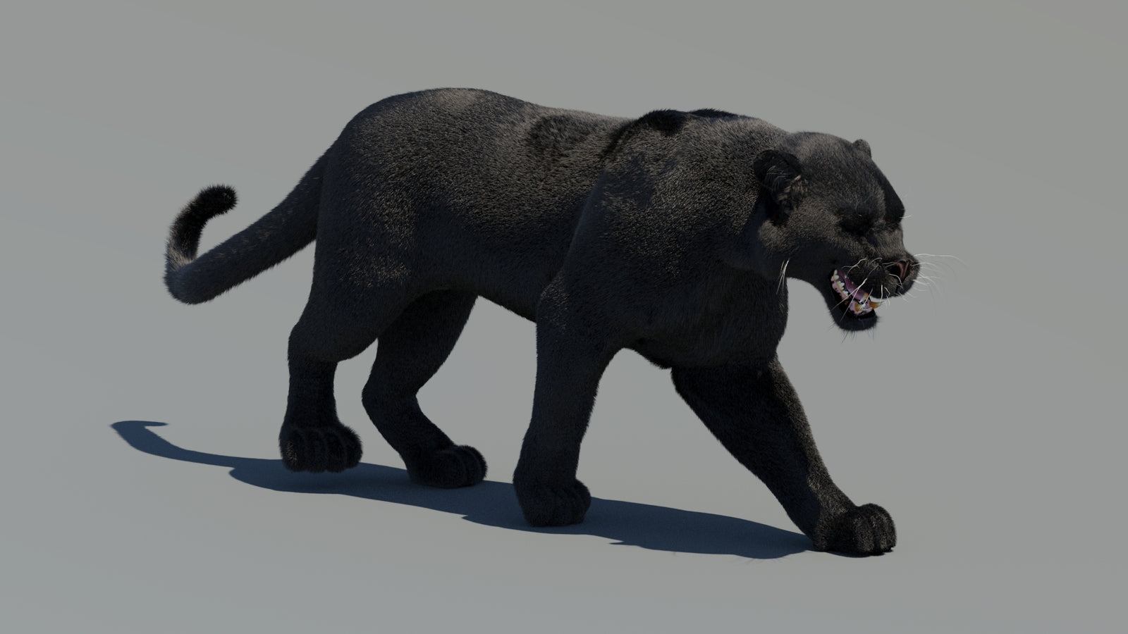 Animated Black Panther 3D Model Fur 360° view 2 frame 4