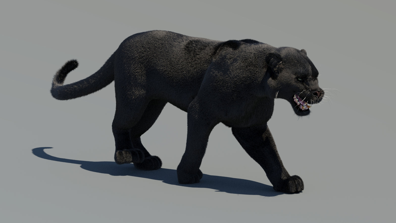 Animated Black Panther 3D Model Fur 360° view 2 frame 6
