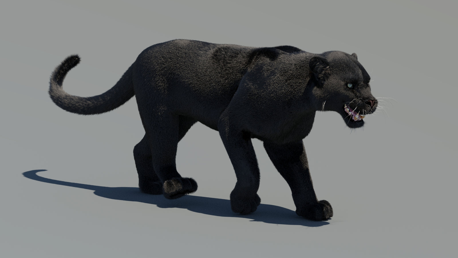 Animated Black Panther 3D Model Fur 360° view 2 frame 9