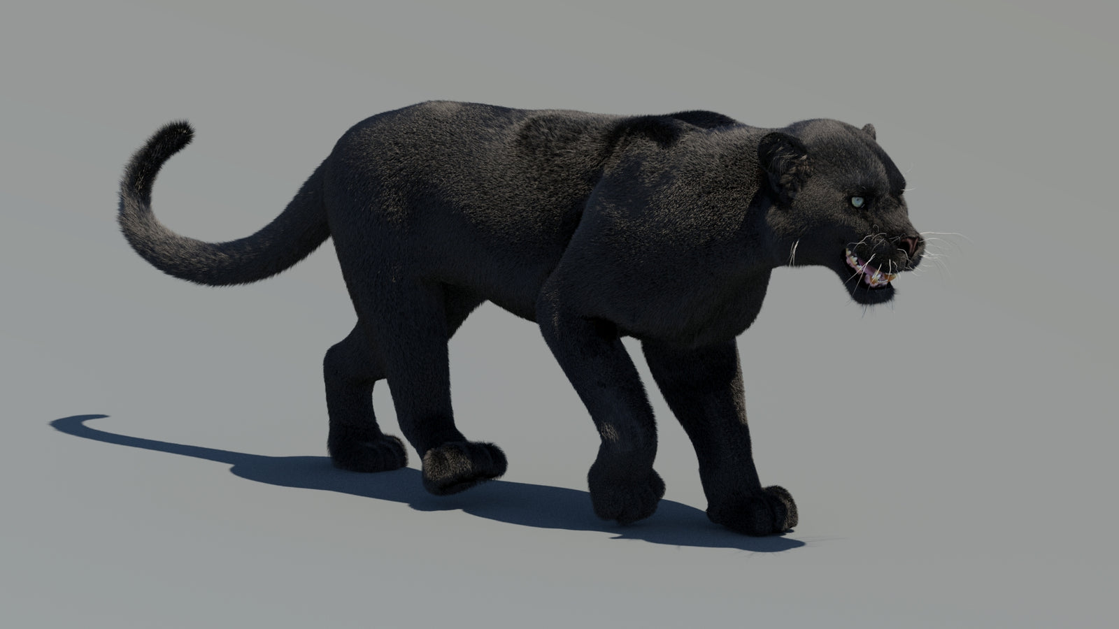 Animated Black Panther 3D Model Fur 360° view 2 frame 10