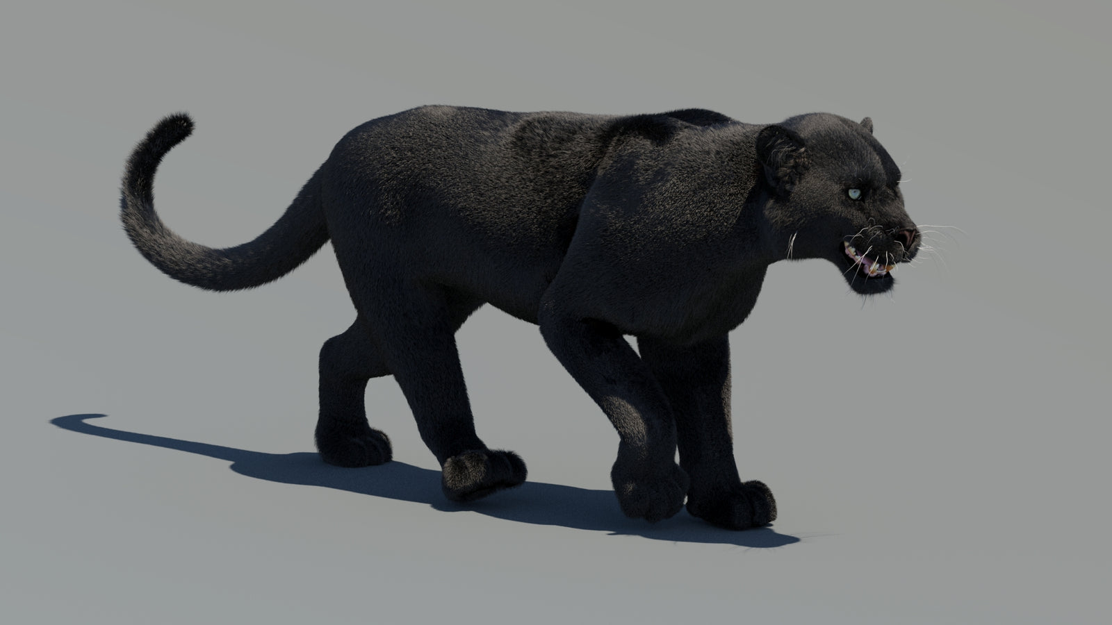 Animated Black Panther 3D Model Fur 360° view 2 frame 11