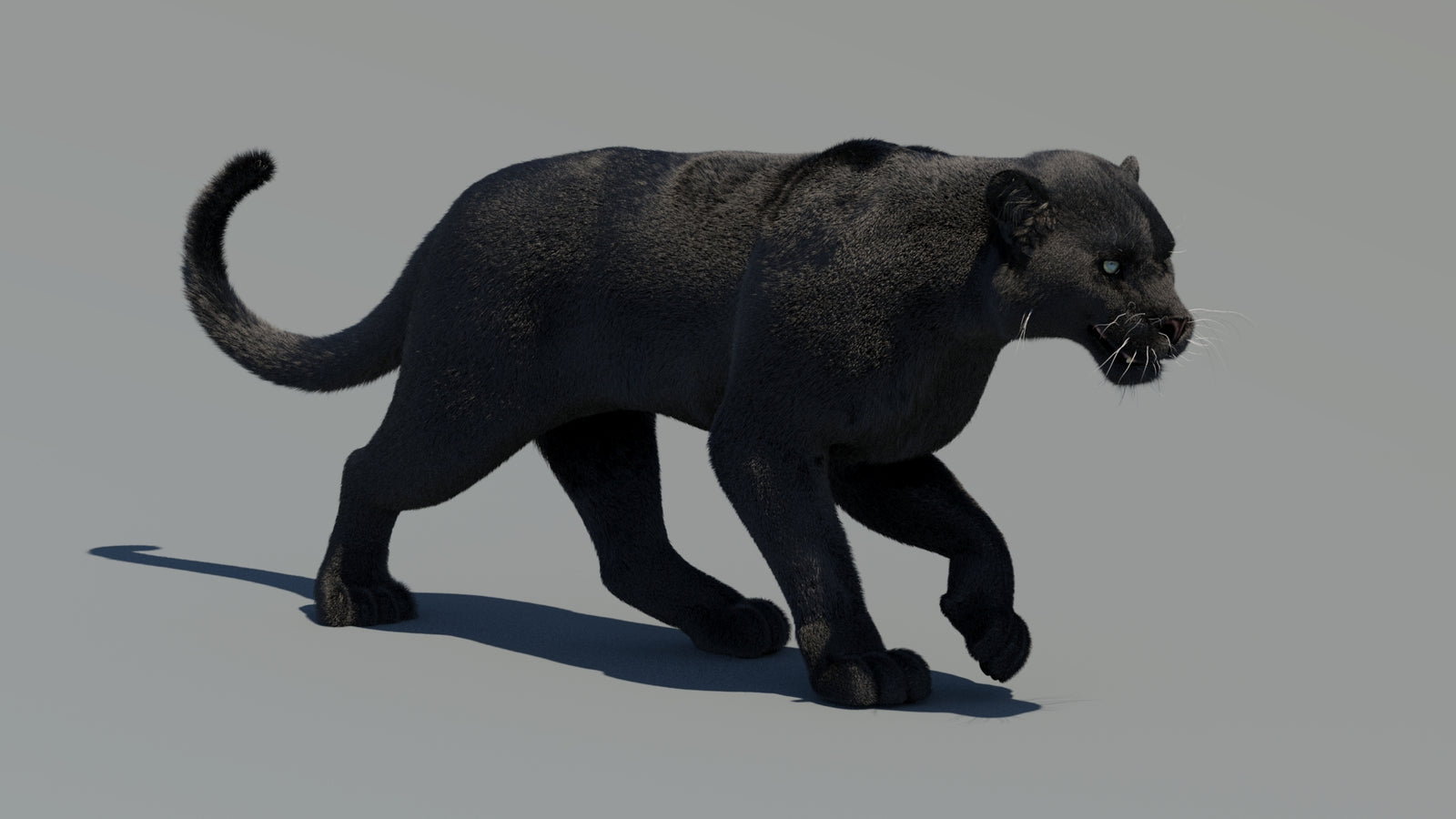 Animated Black Panther 3D Model Fur 360° view 2 frame 29