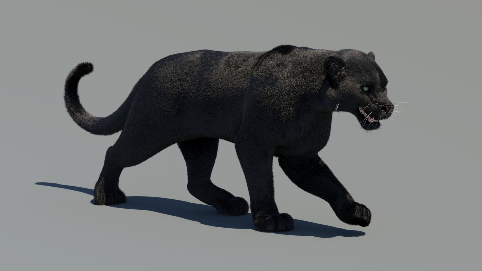 Animated Black Panther 3D Model Fur 360° view 2 frame 31