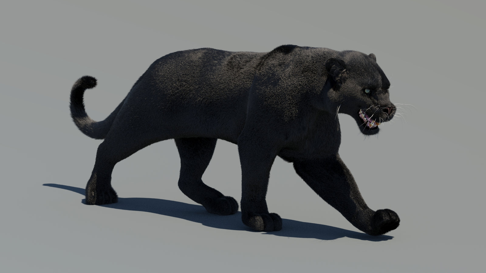Animated Black Panther 3D Model Fur 360° view 2 frame 33